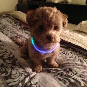 Meet your Posher, Marisa